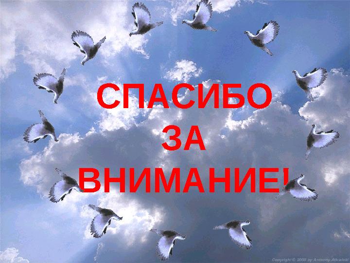 Мой университет-www.moi-mummi.ru СПАСИБО ЗА ВНИМАНИЕ!