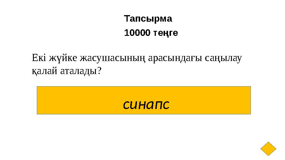 Тапсырма 10000 теңге синапс Екі жүйке жасушасының арасындағы саңылау қалай аталады?