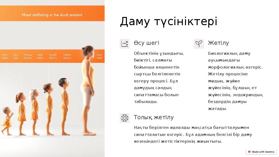 Даму түсініктері Өсу шегі Объектінің ұзындығы, биіктігі, салмағы бойынша өлшенетін сыртқы белгіленетін өзгеру процесі. Бұл