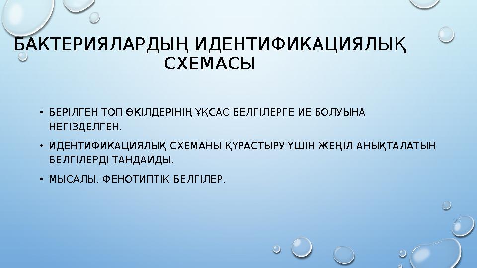 БАКТЕРИЯЛАРДЫҢ ИДЕНТИФИКАЦИЯЛЫҚ СХЕМАСЫ •БЕРІЛГЕН ТОП ӨКІЛДЕРІНІҢ ҰҚСАС БЕЛГІЛЕРГЕ ИЕ БОЛУЫНА НЕГІЗДЕЛГЕН. •ИДЕНТИФИКАЦИЯЛЫҚ