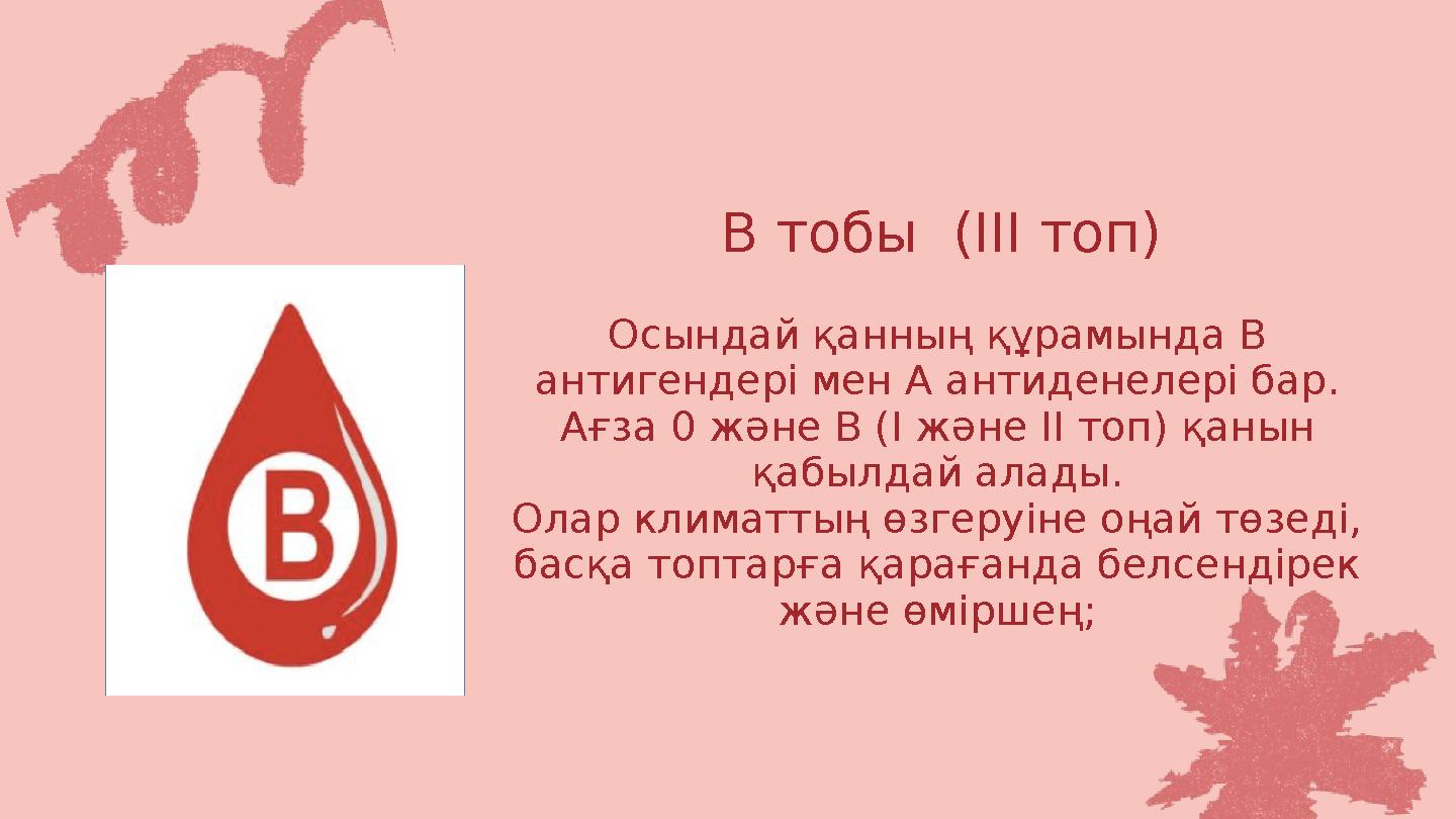 В тобы (III топ) Осындай қанның құрамында В антигендері мен А антиденелері бар. Ағза 0 және В (I және II топ) қанын қабылдай