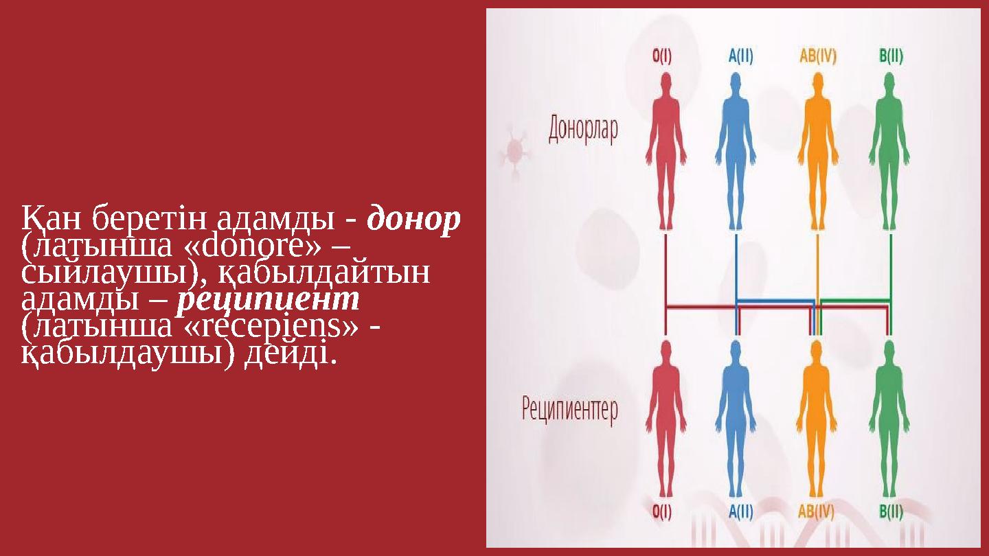 Қан беретін адамды - донор (латынша «donore» – сыйлаушы), қабылдайтын адамды – реципиент (латынша «recepiens» - қабылдаушы)