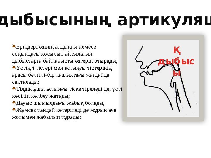 Еріндері өзінің алдыңғы немесе соңындағы қосылып айтылатын дыбыстарға байланысты өзгеріп отырады; Үстіңгі тістері мен астыңғы