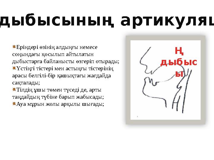 Еріндері өзінің алдыңғы немесе соңындағы қосылып айтылатын дыбыстарға байланысты өзгеріп отырады; Үстіңгі тістері мен астыңғы
