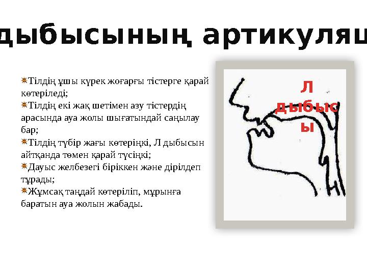 Тілдің ұшы күрек жоғарғы тістерге қарай көтеріледі; Тілдің екі жақ шетімен азу тістердің арасында ауа жолы шығатындай саңылау