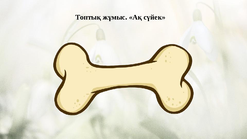 Топтық жұмыс. «Ақ сүйек»