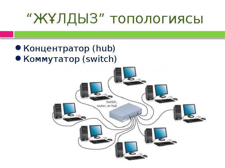 “ЖҰЛДЫЗ” топологиясы ●Концентратор (hub) ●Коммутатор (switch)