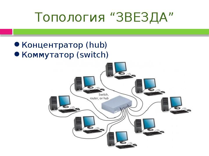 Топология “ЗВЕЗДА” ●Концентратор (hub) ●Коммутатор (switch)
