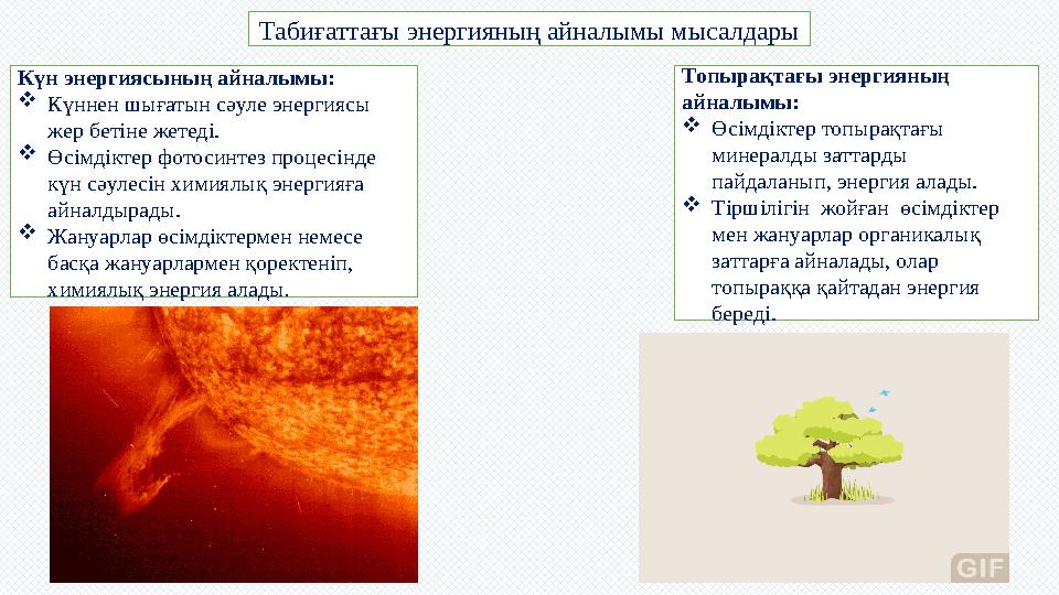 Табиғаттағы энергияның айналымы мысалдары Күн энергиясының айналымы: Күннен шығатын сәуле энергиясы жер бетіне жетеді. Өсімді