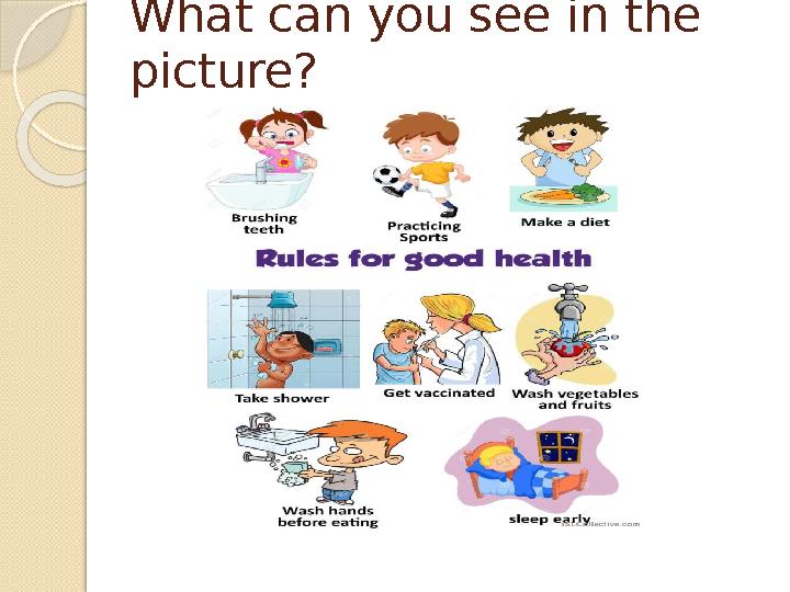 What can you see in the picture?