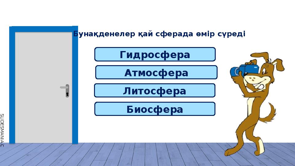 S L I D E S M A N I A . C O M Атмосфера Бунақденелер қай сферада өмір сүреді Гидросфера Биосфера Литосфера