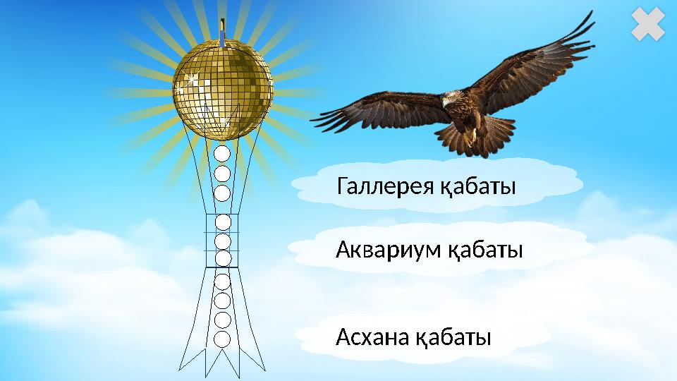 Асхана қабаты Аквариум қабаты Галлерея қабаты