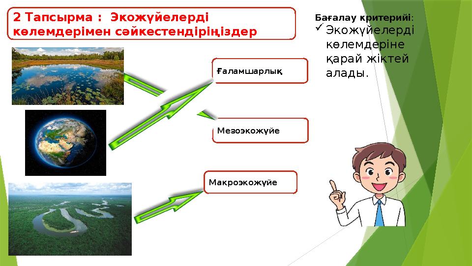 2 Тапсырма : Экожүйелерді көлемдерімен сәйкестендіріңіздер Ғаламшарлық Мезоэкожүйе Макроэкожүйе Бағалау критер 2 Тапсырма : Экожүйелерді көлемдерімен сәйкестендіріңіздер Ғаламшарлық Мезоэкожүйе Макроэкожүйе Бағалау критер