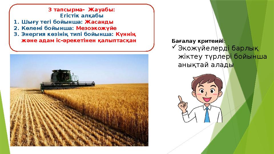 3 тапсырма- Жауабы: Егістік алқабы 1.Шығу тегі бойынша: Жасанды 2.Көлемі бойынша: Мезоэкожүйе 3.Энергия көзінің 3 тапсырма- Жауабы: Егістік алқабы 1.Шығу тегі бойынша: Жасанды 2.Көлемі бойынша: Мезоэкожүйе 3.Энергия көзінің