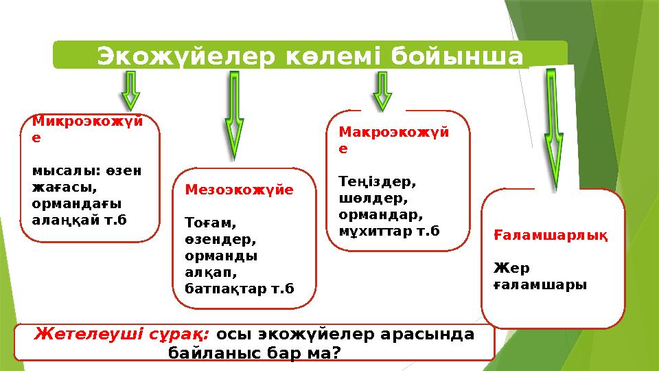 Экожүйелер көлемі бойынша Микроэкожүй е мысалы: өзен жағасы, ормандағы алаңқай т.б Макроэкожүй е Теңіздер, ш Экожүйелер көлемі бойынша Микроэкожүй е мысалы: өзен жағасы, ормандағы алаңқай т.б Макроэкожүй е Теңіздер, ш