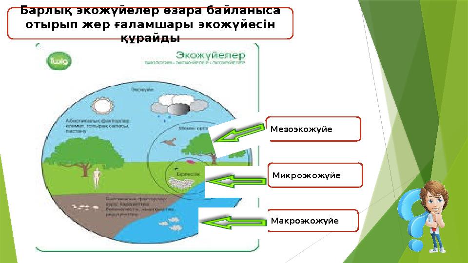 Барлық экожүйелер өзара байланыса отырып жер ғаламшары экожүйесін құрайды Микроэкожүйе Мезоэкожүйе Макроэкожүй Барлық экожүйелер өзара байланыса отырып жер ғаламшары экожүйесін құрайды Микроэкожүйе Мезоэкожүйе Макроэкожүй