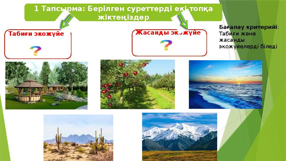 1 Тапсырма: Берілген суреттерді екі топқа жіктеңіздер Табиғи экожүйе Жасанды экожүйе Бағалау критерийі : Табиғи 1 Тапсырма: Берілген суреттерді екі топқа жіктеңіздер Табиғи экожүйе Жасанды экожүйе Бағалау критерийі : Табиғи