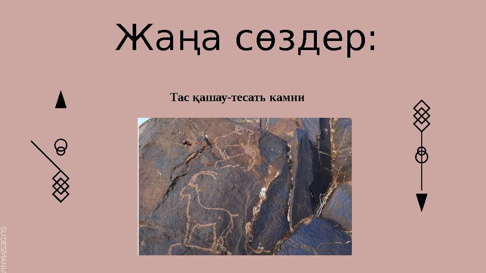 S L I D E S M A N I A . C O M Тас қашау-тесать камни Жаңа сөздер: