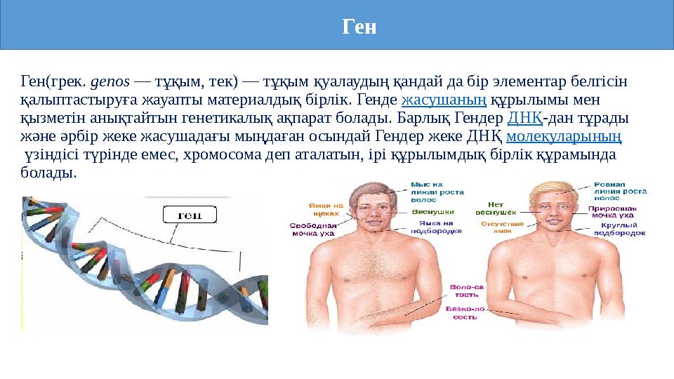 Ген(грек. genos — тұқым, тек) — тұқым қуалаудың қандай да бір элементар белгісін қалыптастыруға жауапты материалдық бірлік. Ген