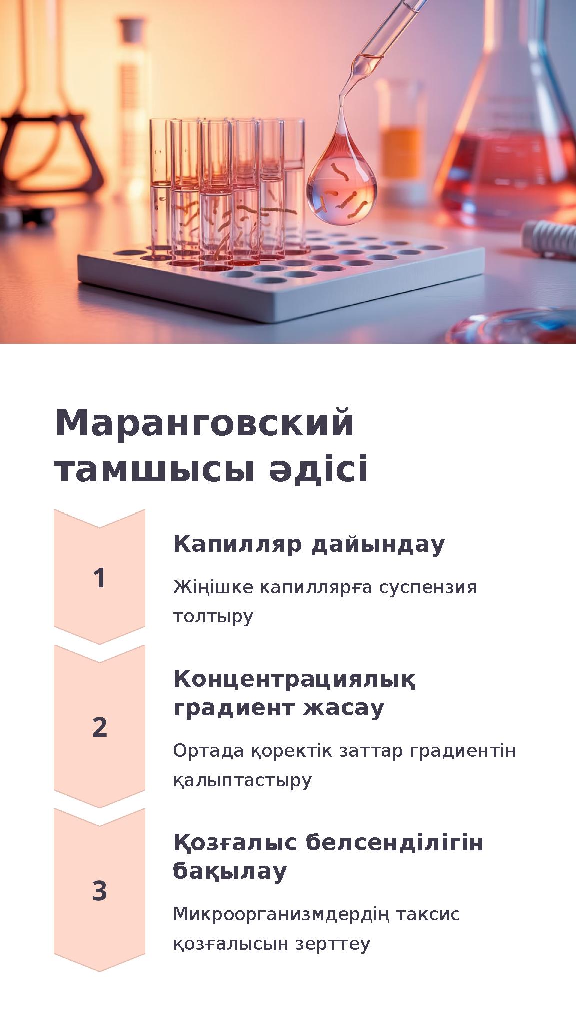 Маранговский тамшысы әдісі Капилляр дайындау Жіңішке капиллярға суспензия толтыру Концентрациялық градиент жасау Ортада қорек