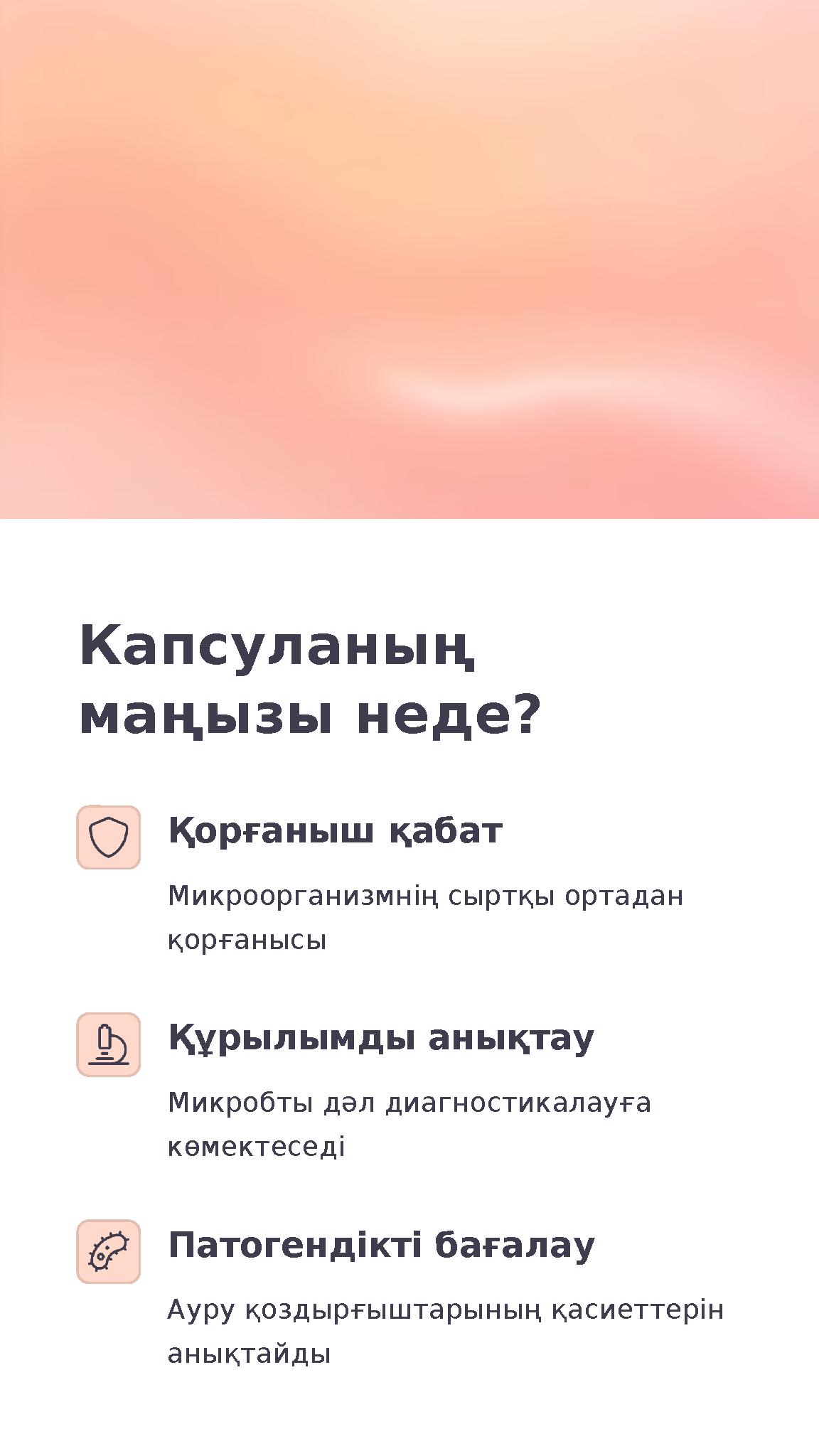 Капсуланың маңызы неде? Қорғаныш қабат Микроорганизмнің сыртқы ортадан қорғанысы Құрылымды анықтау Микробты дәл диагностикалау