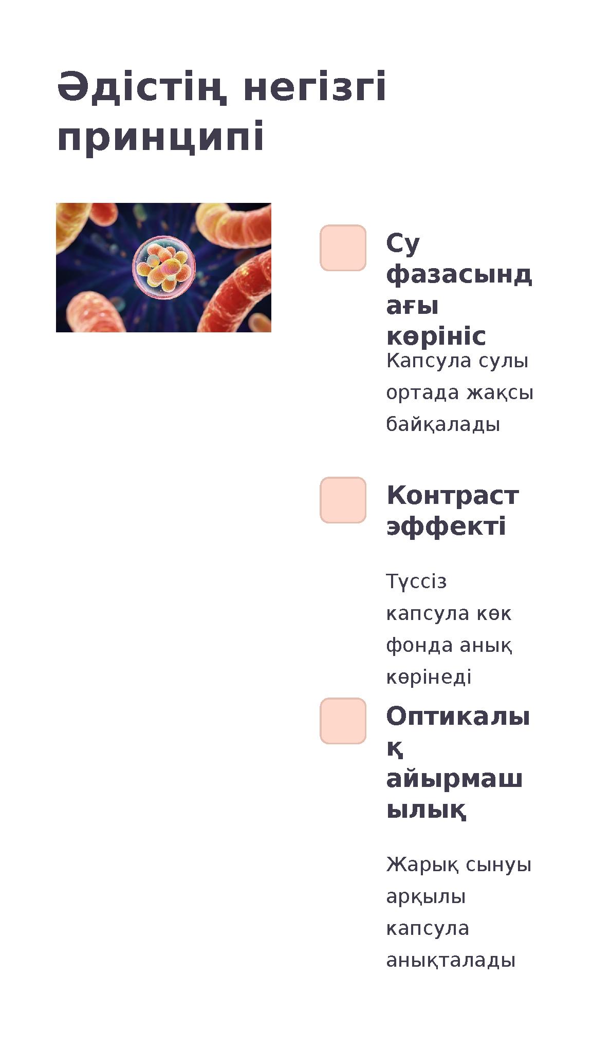 Әдістің негізгі принципі Су фазасынд ағы көрініс Капсула сулы ортада жақсы байқалады Контраст эффекті Түссіз капсула көк