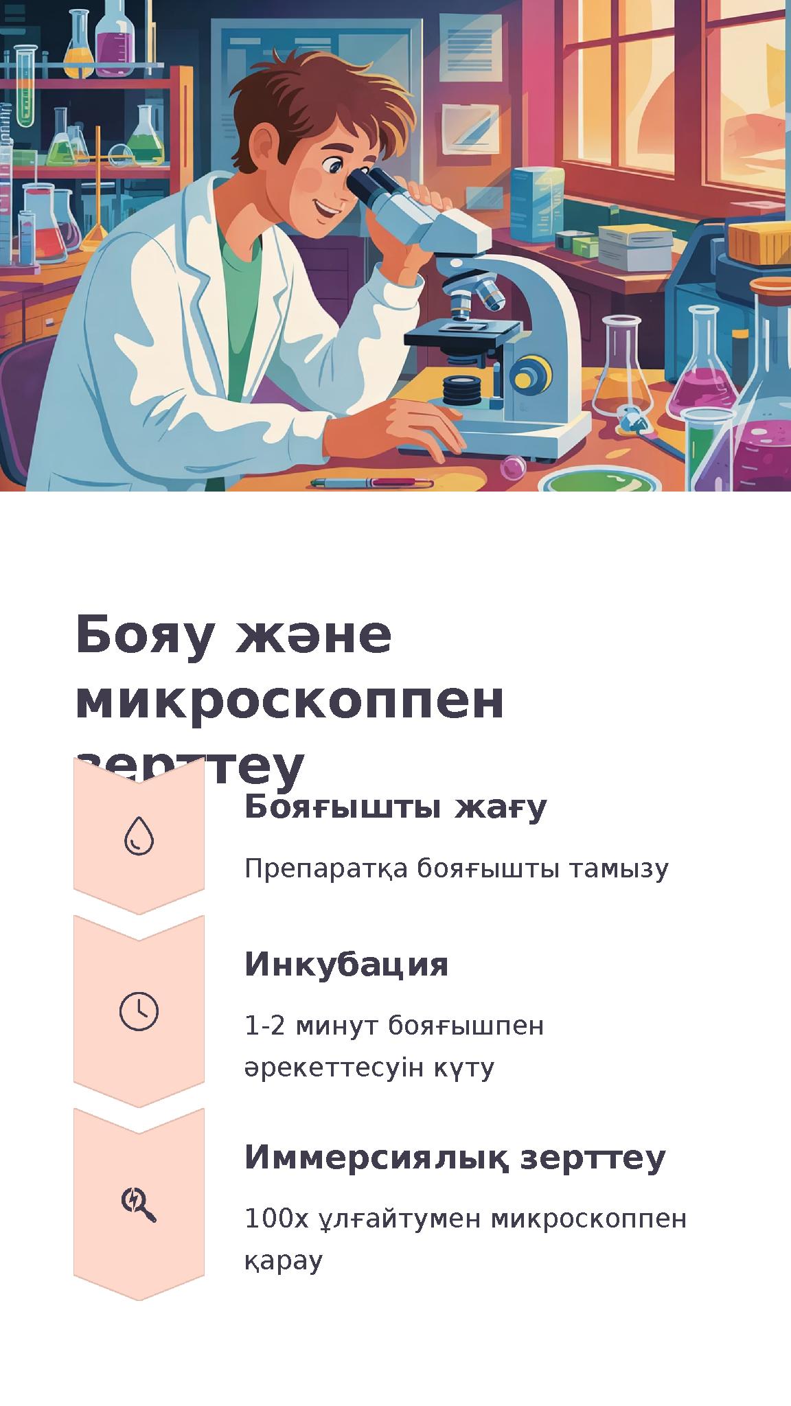 Бояу және микроскоппен зерттеу Бояғышты жағу Препаратқа бояғышты тамызу Инкубация 1-2 минут бояғышпен әрекеттесуін күту Иммер