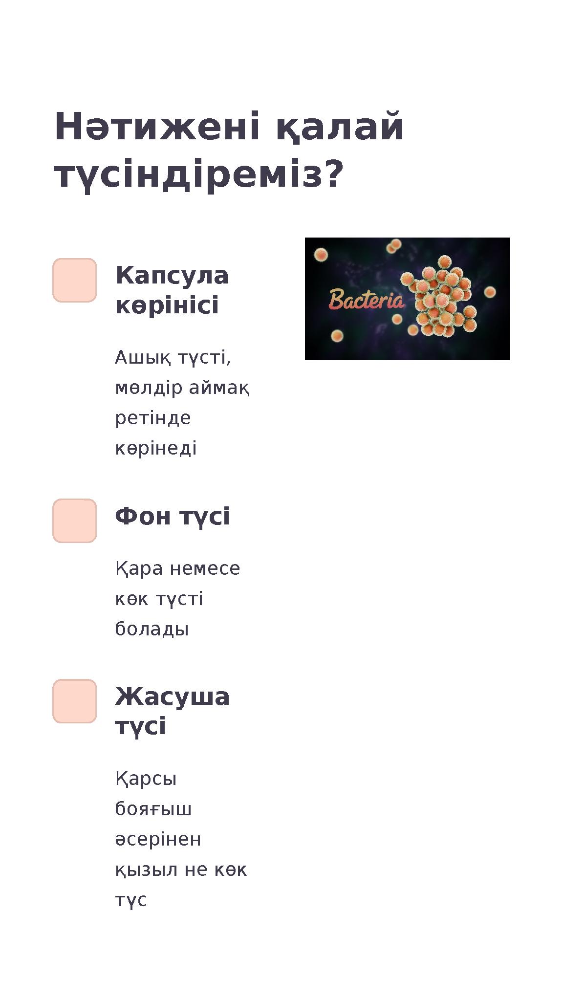 Нәтижені қалай түсіндіреміз? Капсула көрінісі Ашық түсті, мөлдір аймақ ретінде көрінеді Фон түсі Қара немесе көк түсті бо