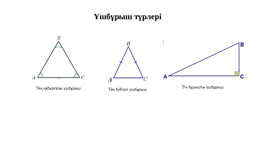 Тең қабырғалы үшбұрыш Тең бүйірлі үшбұрыш Тік бұрышты үшбұрыш Үшбұрыш түрлері