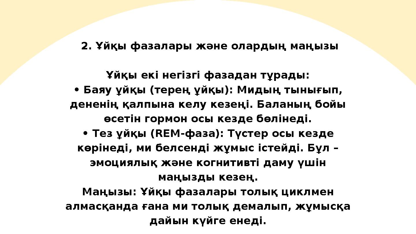 2. Ұйқы фазалары және олардың маңызы Ұйқы екі негізгі фазадан тұрады: • Баяу ұйқы (терең ұйқы): Мидың тынығып, дененің қалпына