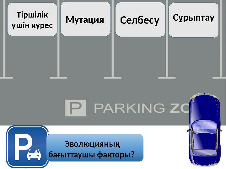 Эволюцияның бағыттаушы факторы? Тіршілік үшін күрес Мутация Селбесу Сұрыптау