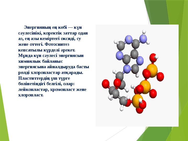 Энергияның ең көбi — күн сәулесiнiкi, коректiк заттар одан аз, ең азы кемiртегi оксидi, су жене оттегi. Фотос