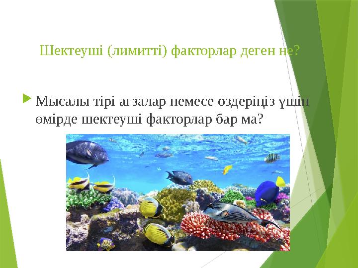Шектеуші (лимитті) факторлар деген не? Мысалы тірі ағзалар немесе өздеріңіз үшін өмірде шектеуші факторлар бар