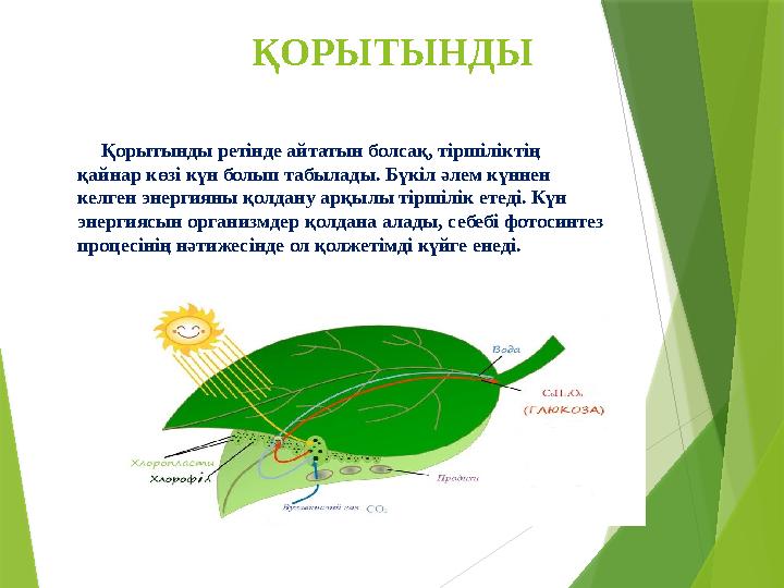 ҚОРЫТЫНДЫ Қорытынды ретінде айтатын болсақ, тіршіліктің қайнар көзі күн болып табылады. Бүкіл әлем күннен келг