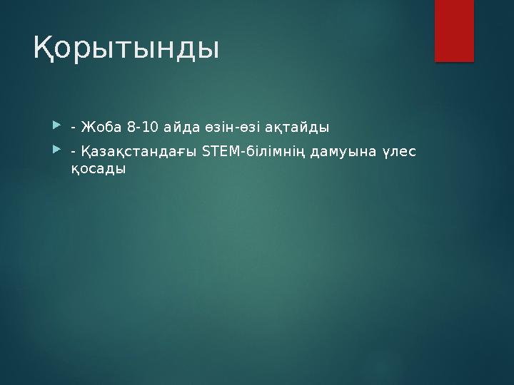 Қорытынды - Жоба 8-10 айда өзін-өзі ақтайды - Қазақстандағы STEM-білімнің дамуына үлес қосады