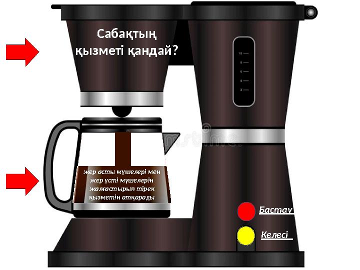 Бастау Келесі Сабақтың қызметі қандай? жер асты мүшелері мен жер үсті мүшелерін жалғастырып тірек қызметін атқарады