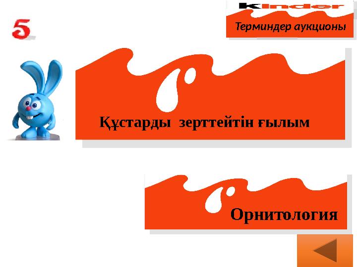 Терминдер аукционы Құстарды зерттейтін ғылым Орнитология