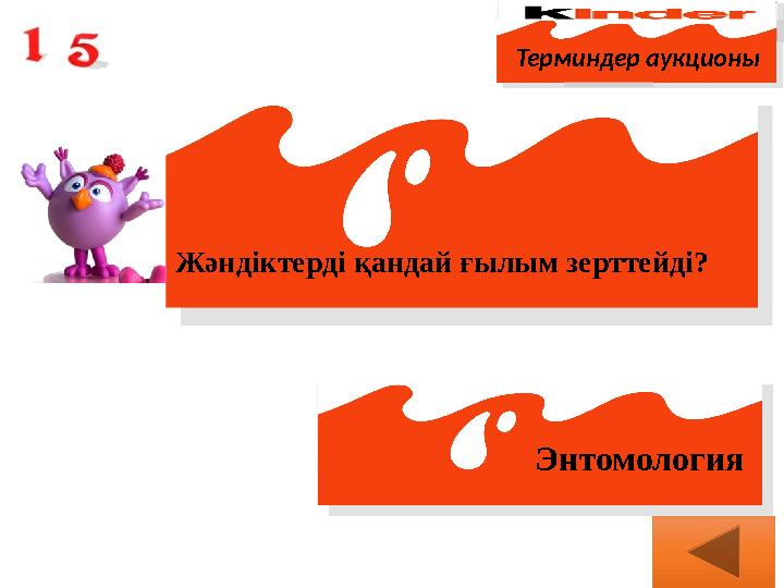 Терминдер аукционы Жәндіктерді қандай ғылым зерттейді? Энтомология