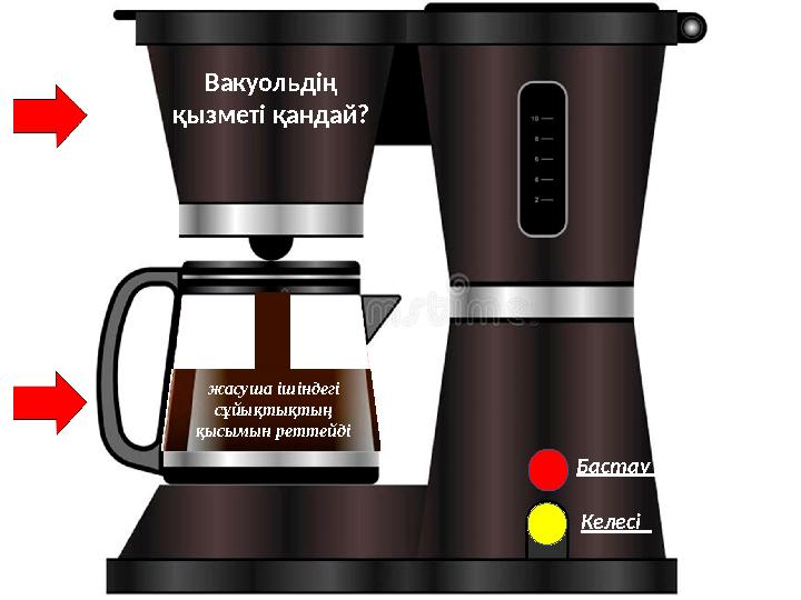 Бастау Келесі Вакуольдің қызметі қандай? жасуша ішіндегі сұйықтықтың қысымын реттейді