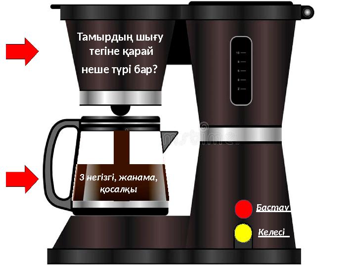 Бастау Келесі Тамырдың шығу тегіне қарай неше түрі бар? 3 негізгі, жанама, қосалқы