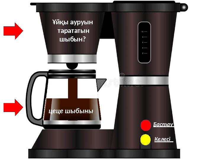 Бастау Келесі Ұйқы ауруын тарататын шыбын? цеце шыбыны