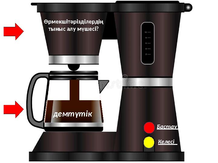 Бастау Келесі Өрмекшітәрізділердің тыныс алу мүшесі? демтүтік