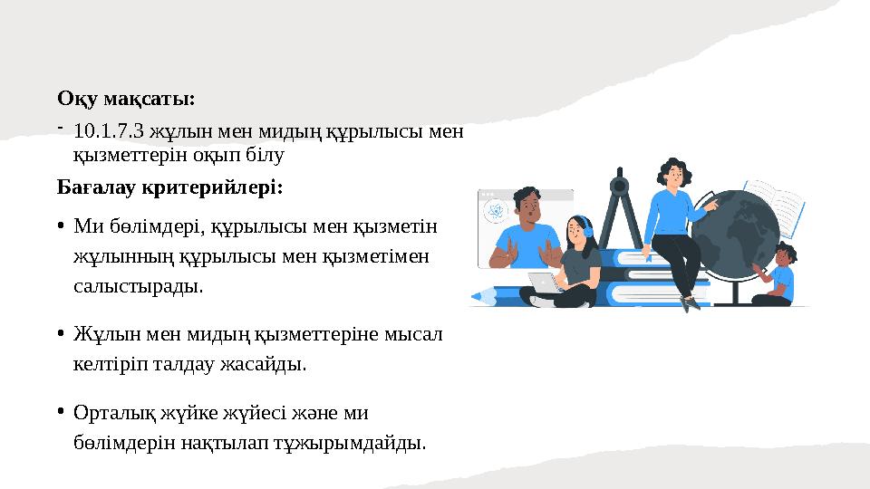 Оқу мақсаты: -10.1.7.3 жұлын мен мидың құрылысы мен қызметтерін оқып білу Бағалау критерийлері: •Ми бөлімдері, құрылысы мен қ