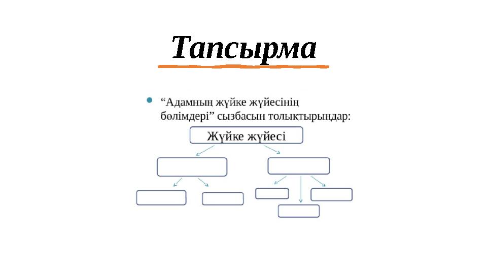 Тапсырма