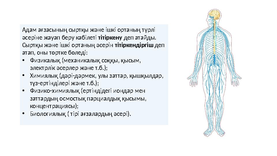 Адам ағзасының сыртқы және ішкі ортаның түрлі әсеріне жауап беру кабілеті тітіркену деп атайды. Сыртқы және ішкі ортаның әсер