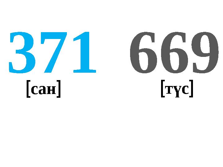 669371 сан түс