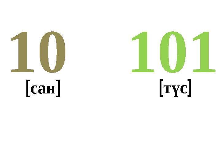 10110 сан түс