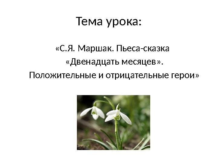 Тема урока: «С.Я. Маршак. Пьеса-сказка «Двенадцать месяцев». Положительные и отрицательные герои»