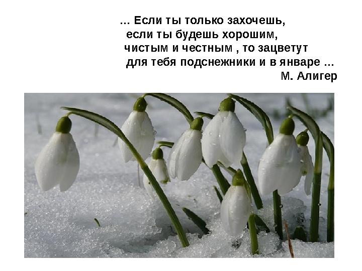 … Если ты только захочешь, если ты будешь хорошим, чистым и честным , то зацветут