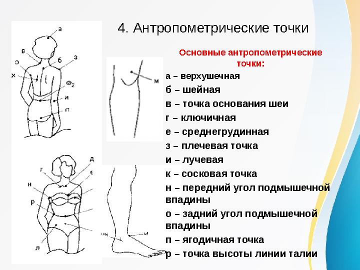 4. Антропометрические точки Основные антропометрические точки: а – верхушечная б – шейная в – точка основания шеи г – ключичная
